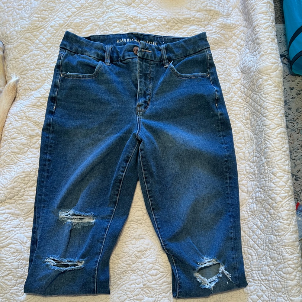 AE distressed dark wash curvy jegging